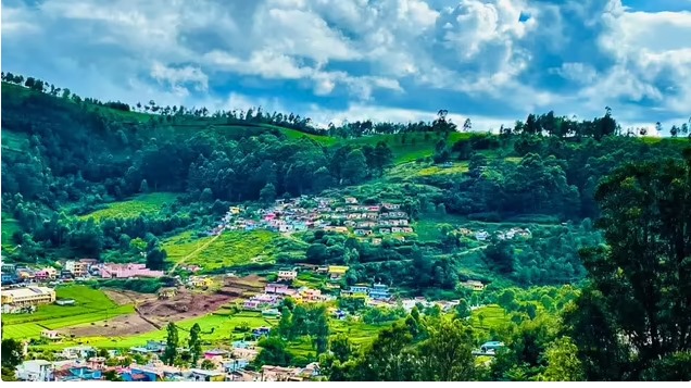 WhatsApp Image 2025-06-27 at 8.02.55 PM